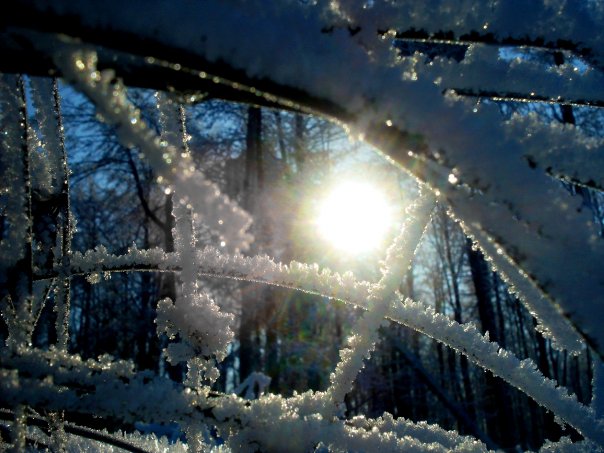 sun.jpg