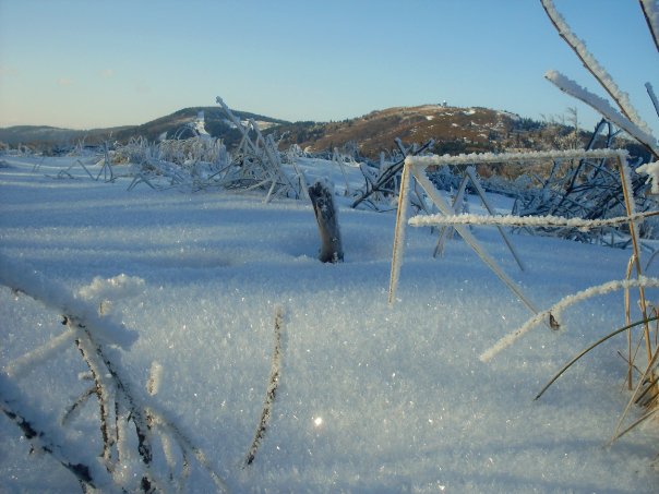 hola, snow.jpg